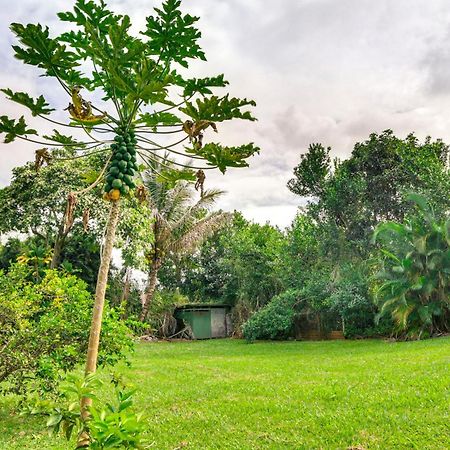 Charming Historic Hilo House Minutes To Beach! Exterior foto