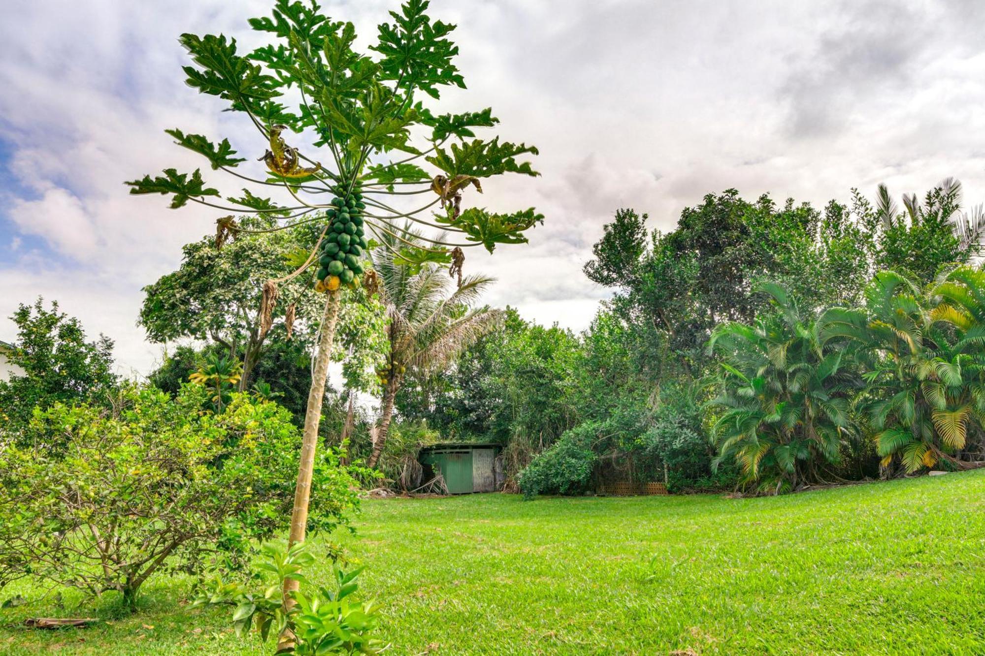 Charming Historic Hilo House Minutes To Beach! Exterior foto